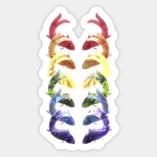 Rainbow Fishes Sticker